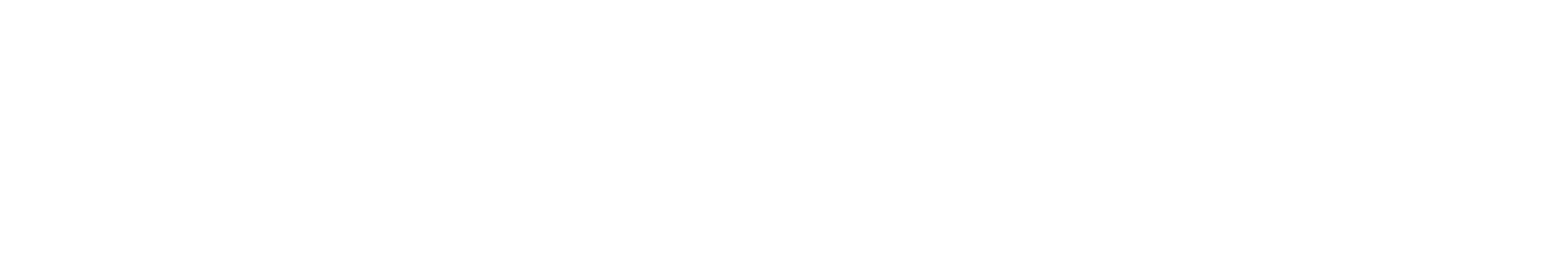 Nexxen logo grand pour les fonds sombres (PNG transparent)
