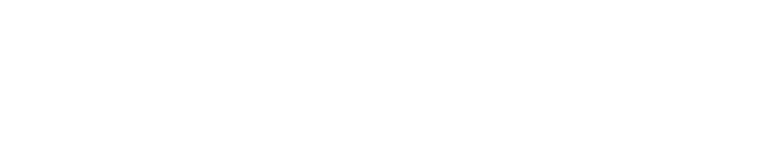 Nextensa Logo groß für dunkle Hintergründe (transparentes PNG)