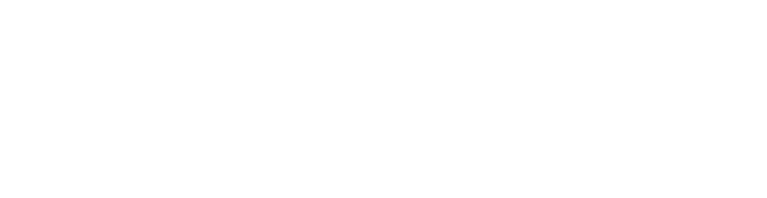 New Fortress Energy
 logo large for dark backgrounds (transparent PNG)