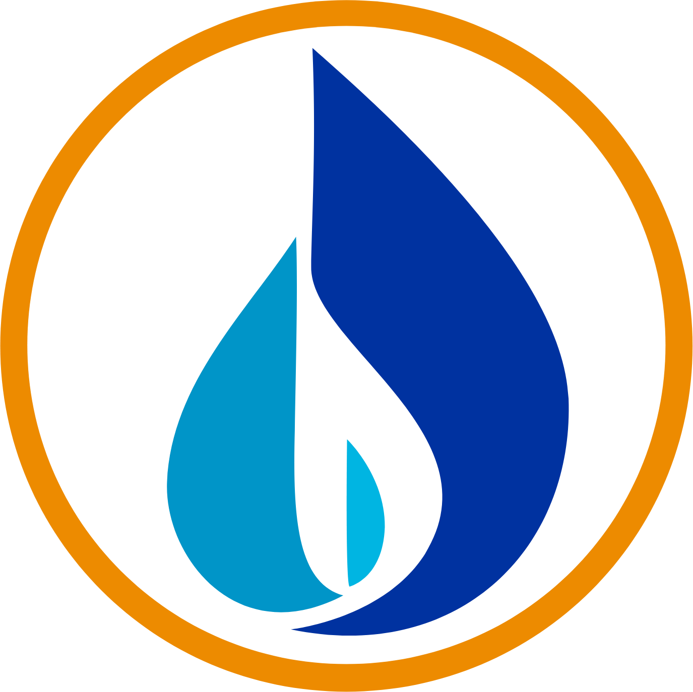 National Fuel Gas
 logo (PNG transparent)