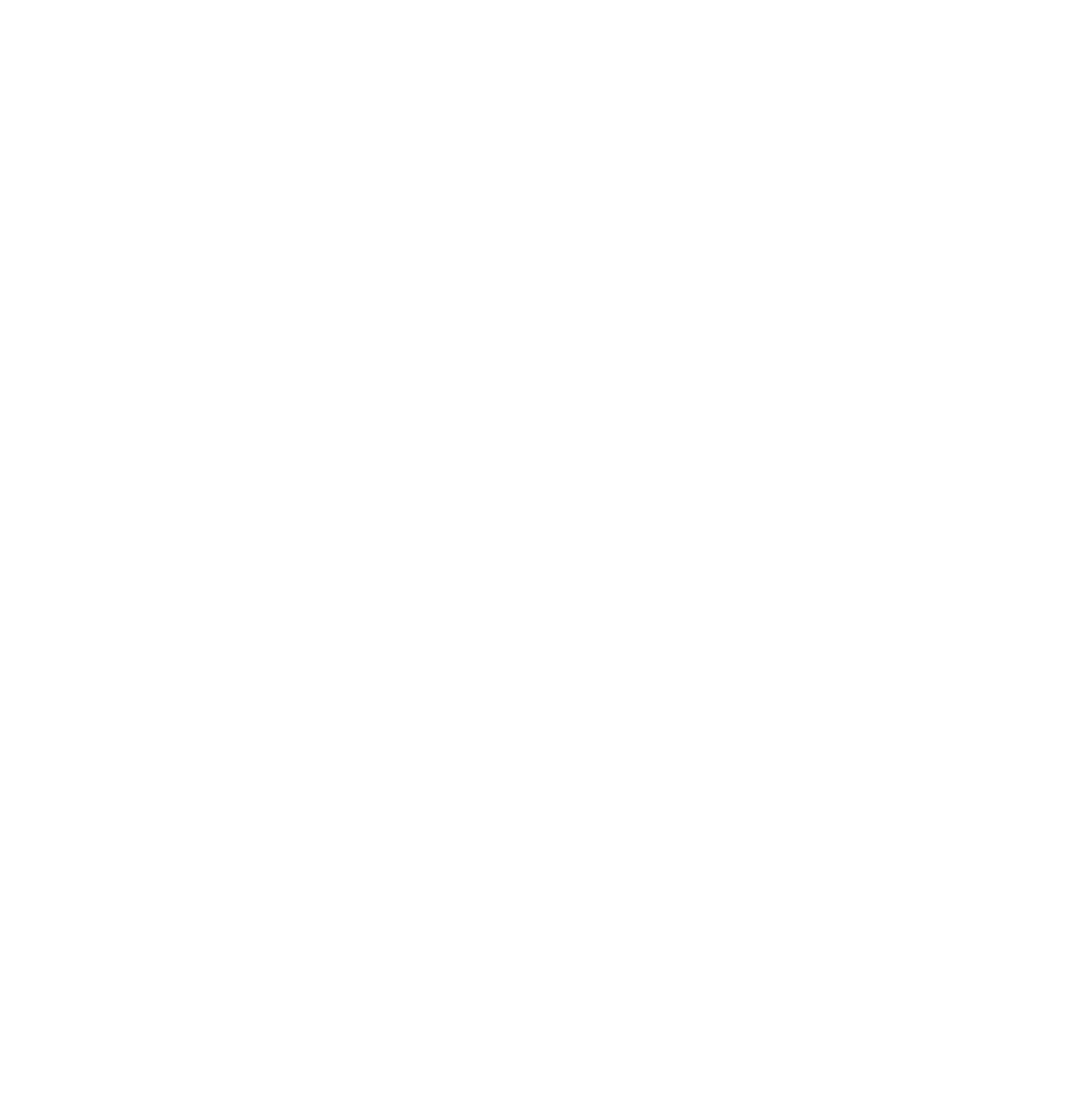 NFI Group Logo für dunkle Hintergründe (transparentes PNG)