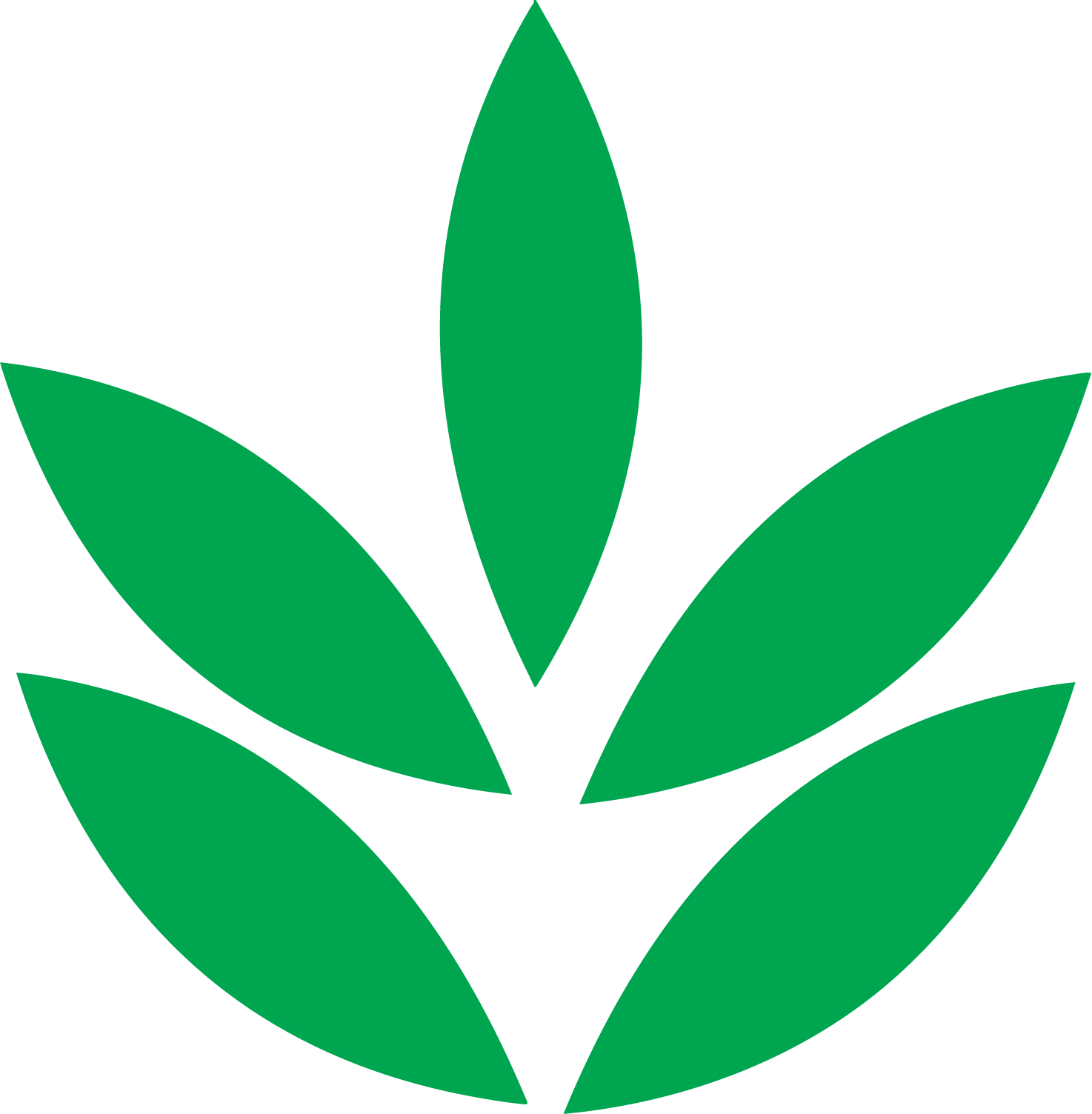 National Fertilizers
 logo (PNG transparent)