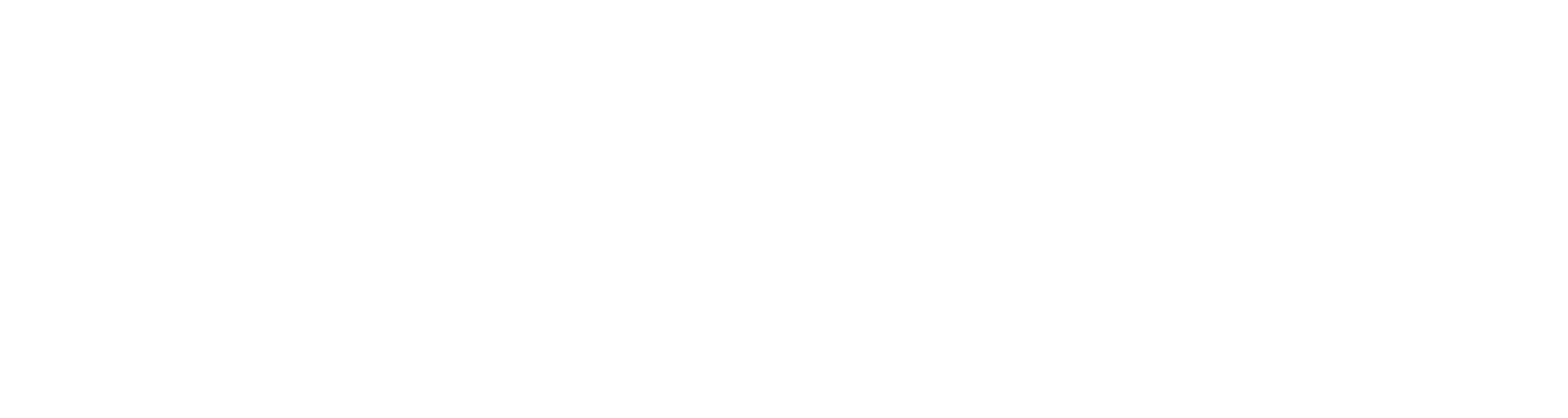 NervGen Pharma logo fulle size on a dark background (transparent PNG)