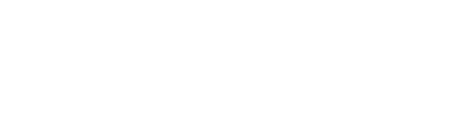 NantHealth logo grand pour les fonds sombres (PNG transparent)