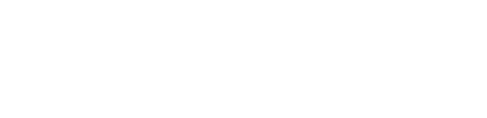 NIBE Industrier Logo groß für dunkle Hintergründe (transparentes PNG)