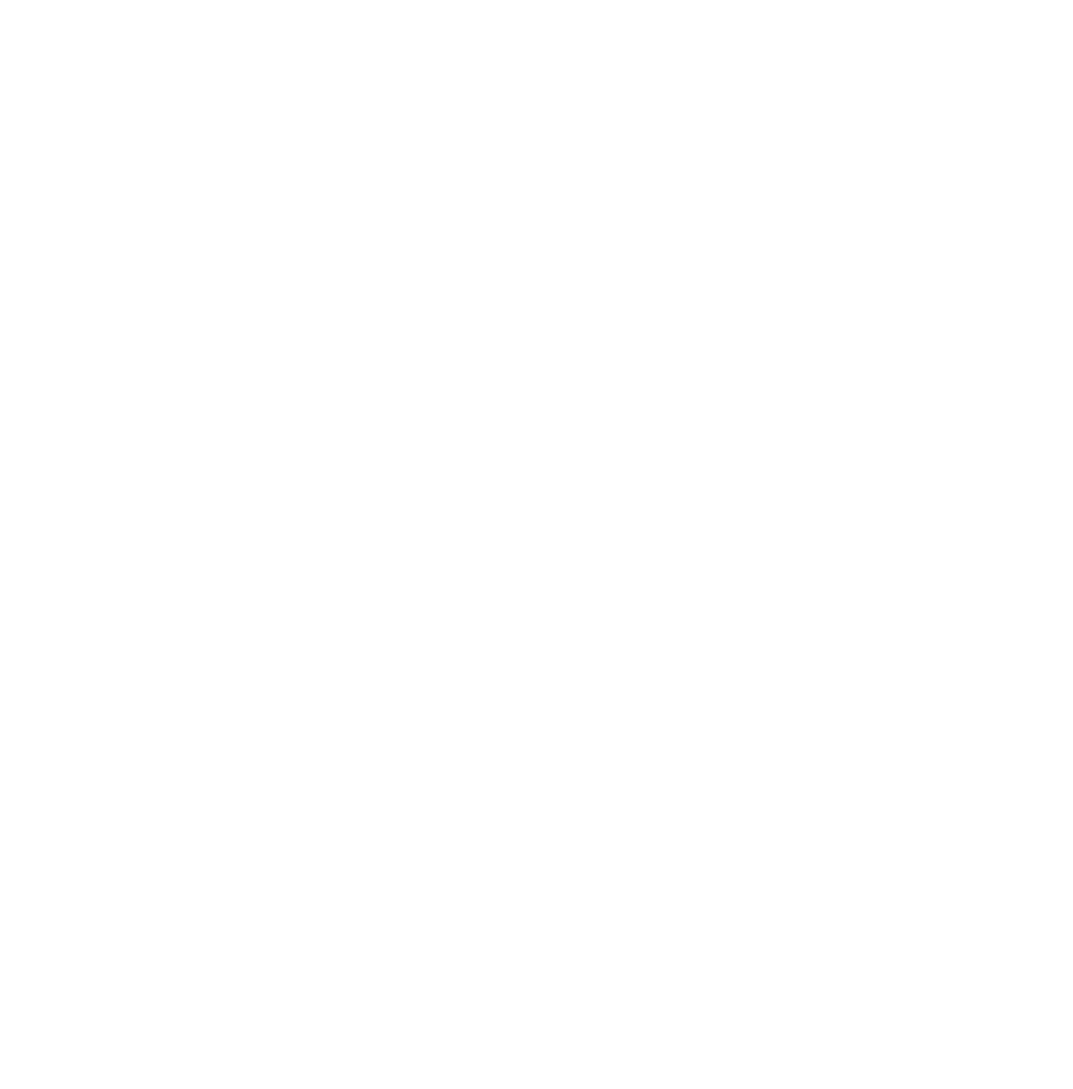 Nickel Industries Limited Logo für dunkle Hintergründe (transparentes PNG)