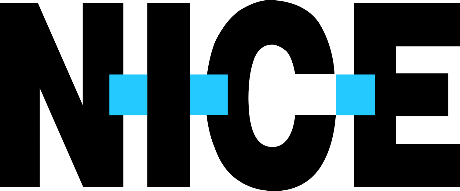 NICE Logo (transparentes PNG)
