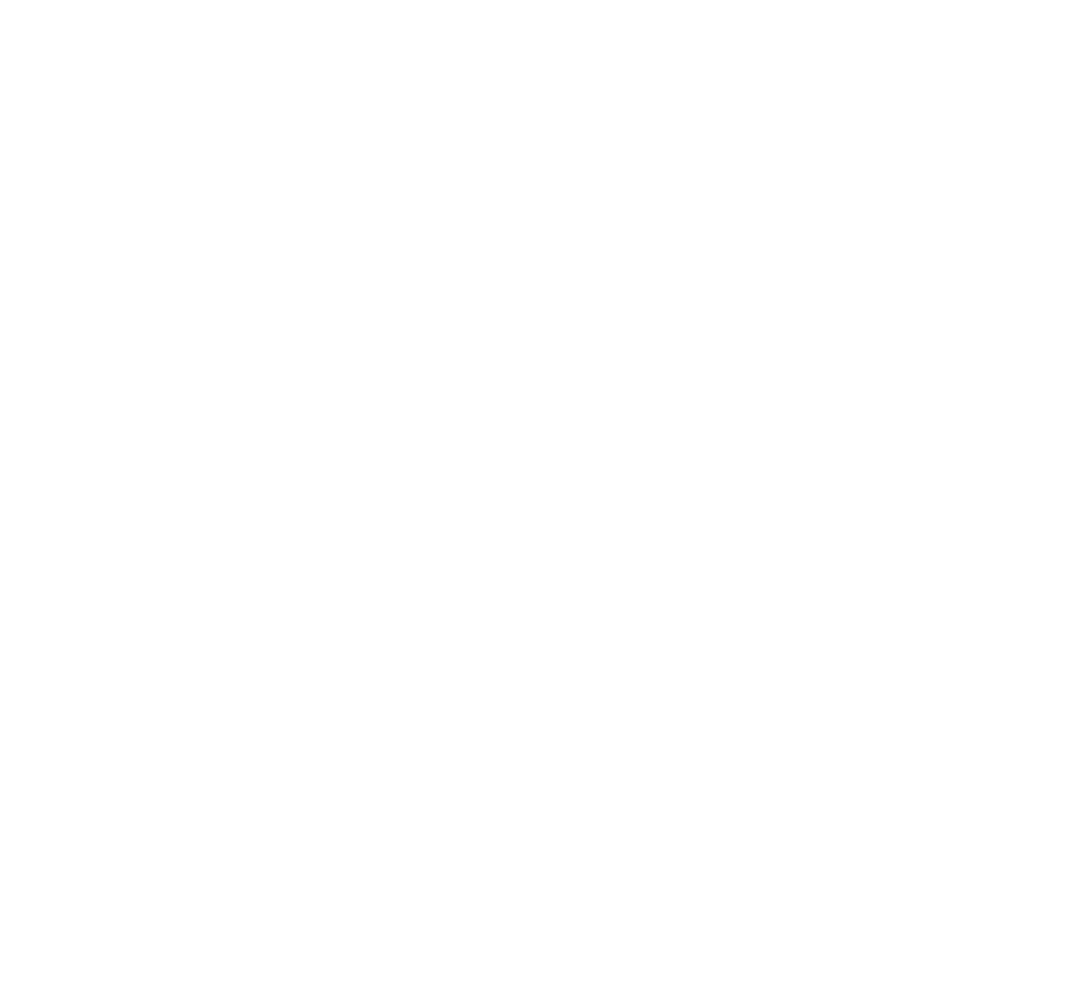 NICE Logo für dunkle Hintergründe (transparentes PNG)