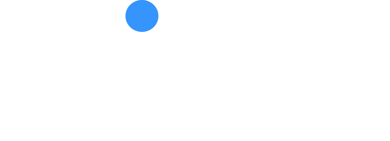 NICE Logo groß für dunkle Hintergründe (transparentes PNG)