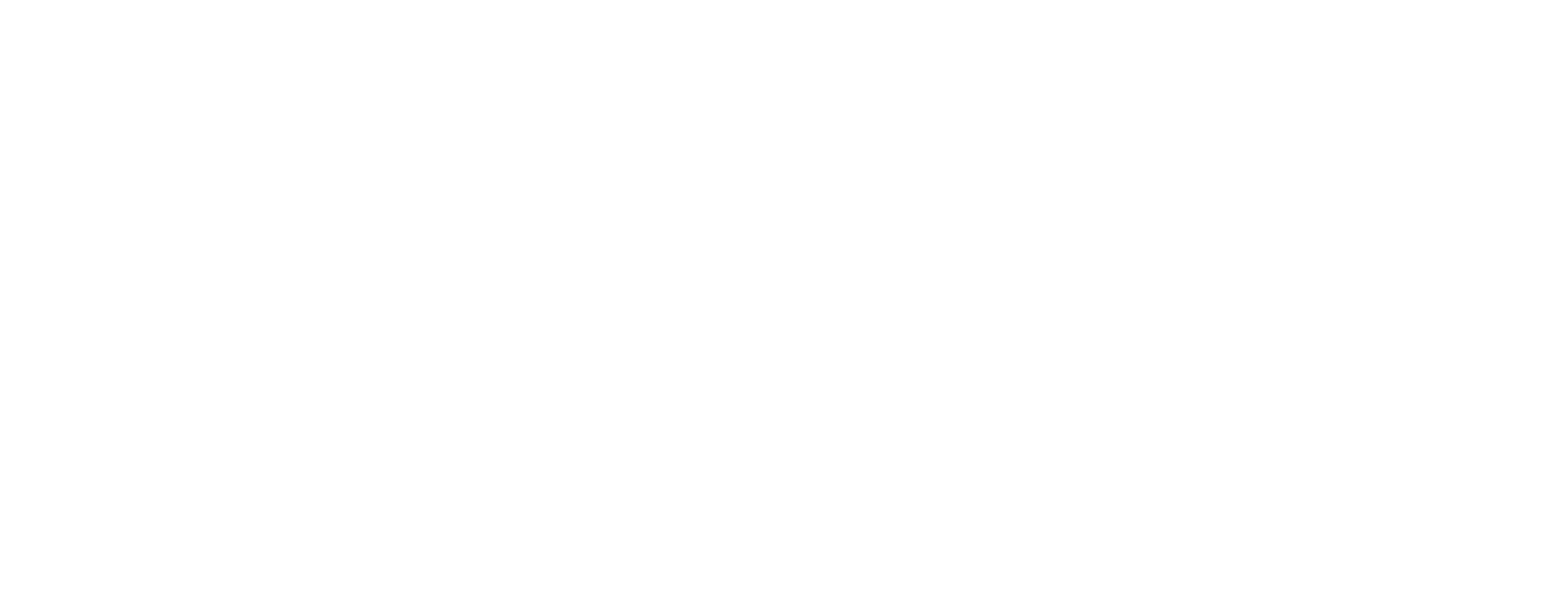 Nicolet Bankshares Logo groß für dunkle Hintergründe (transparentes PNG)