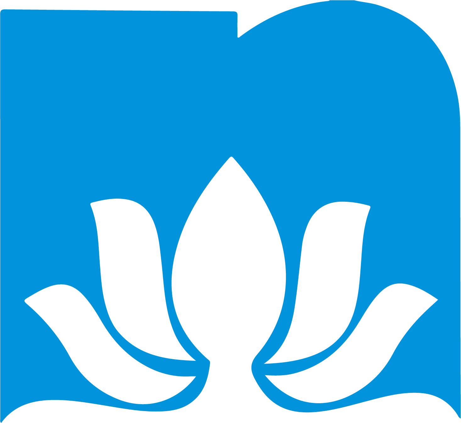 Nilkamal logo (PNG transparent)