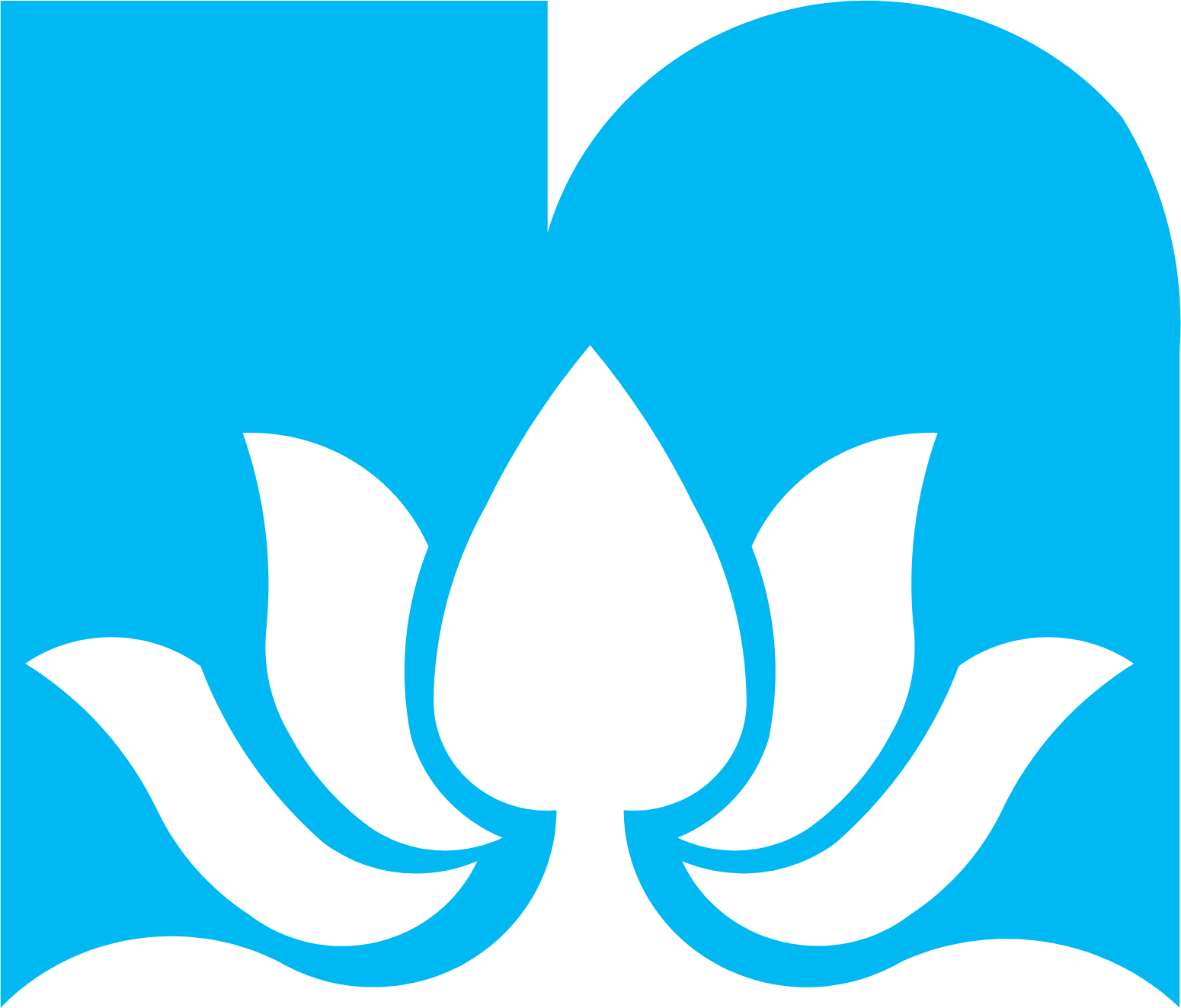 Nilkamal logo (transparent PNG)