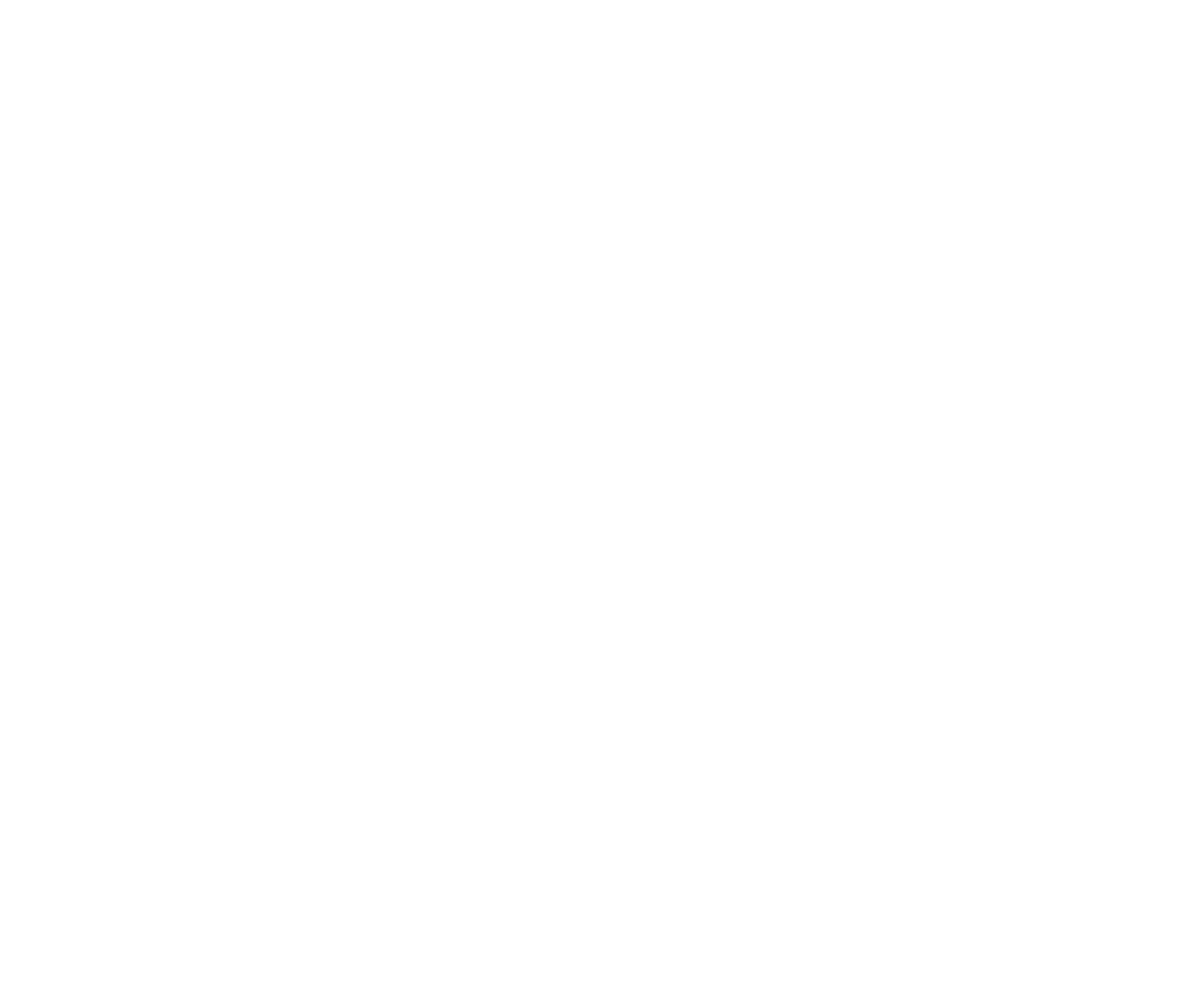 NIU logo for dark backgrounds (transparent PNG)