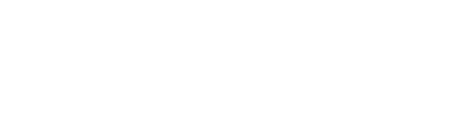 National Bankshares logo grand pour les fonds sombres (PNG transparent)