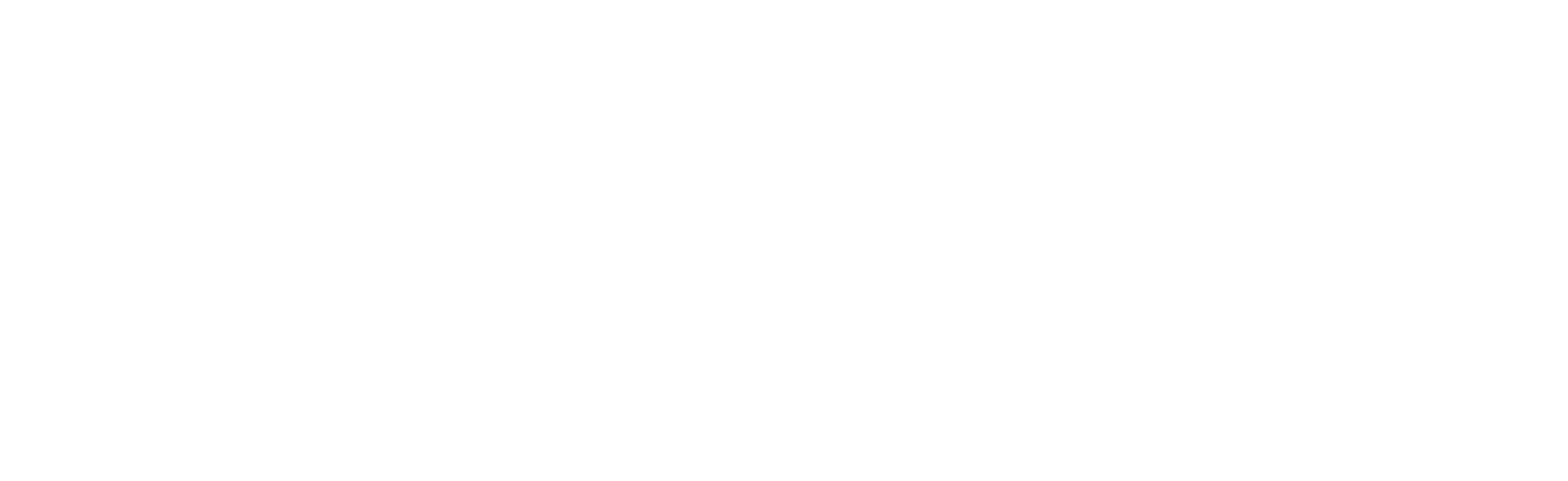 National Bankshares logo grand pour les fonds sombres (PNG transparent)