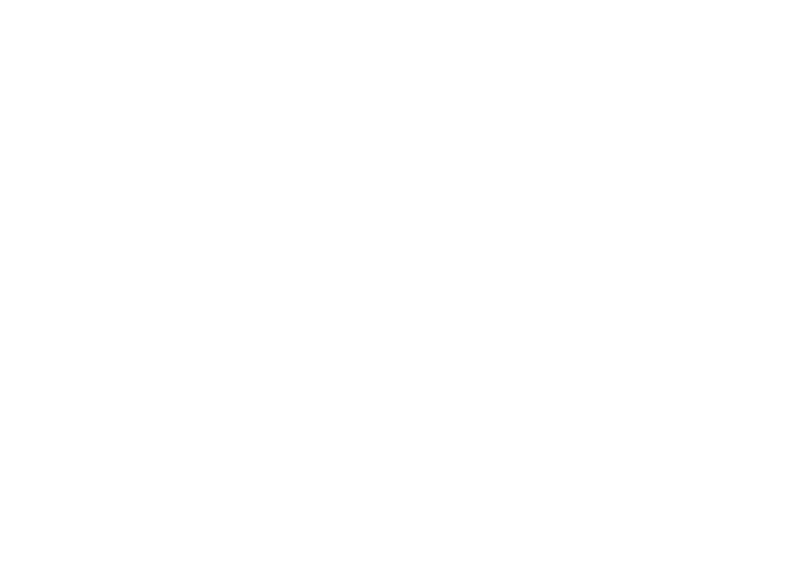 Nkarta Logo für dunkle Hintergründe (transparentes PNG)