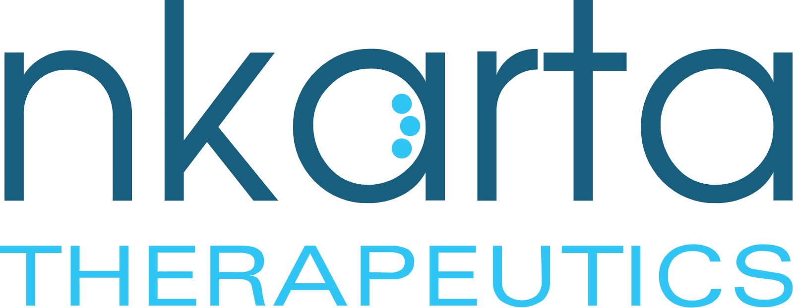 Nkarta logo large (transparent PNG)