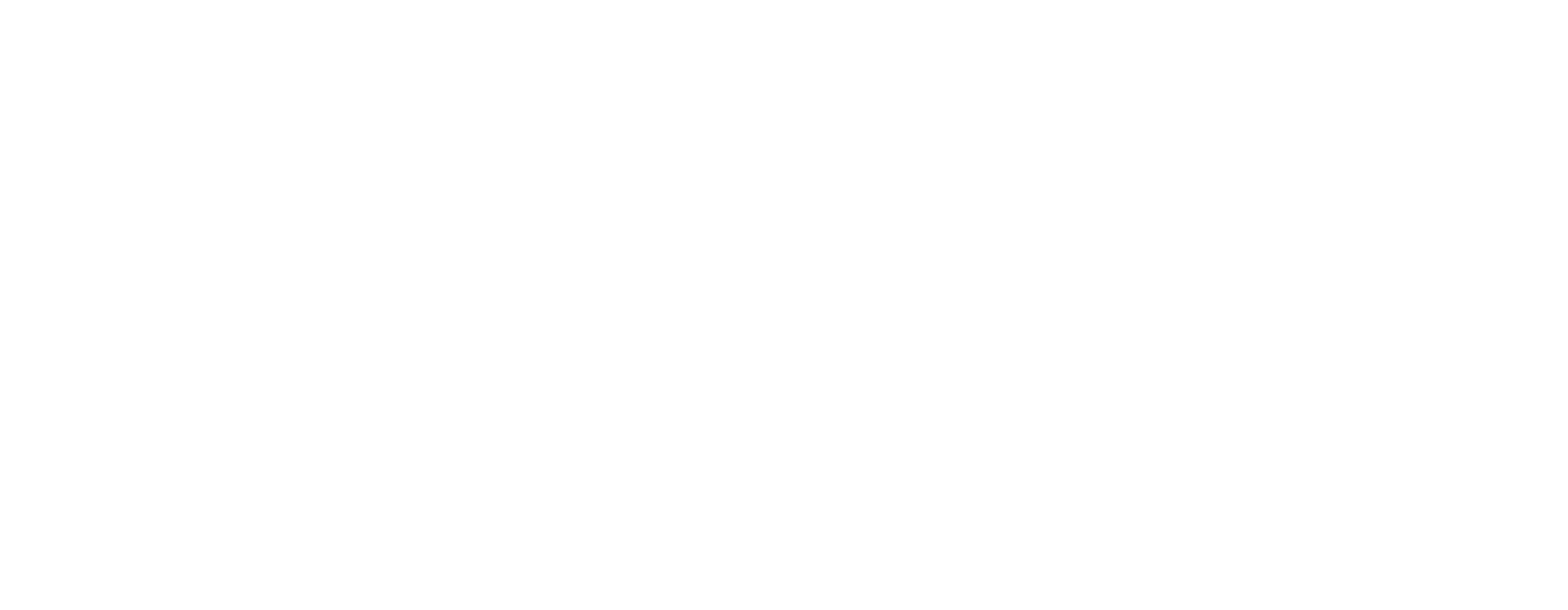 Nkarta logo grand pour les fonds sombres (PNG transparent)