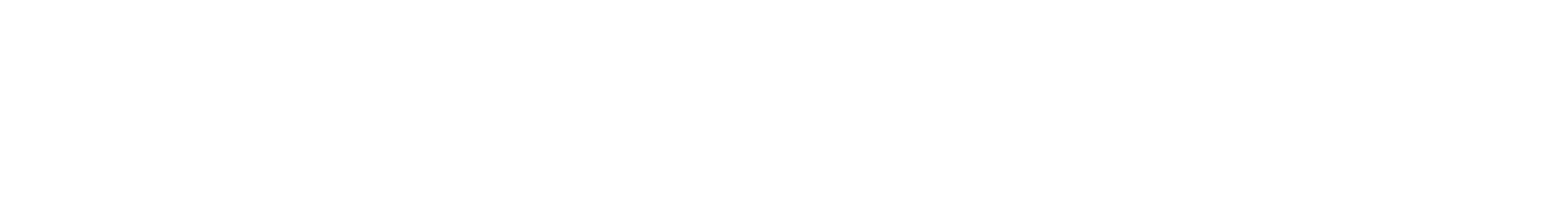 Nilfisk Holding Logo groß für dunkle Hintergründe (transparentes PNG)