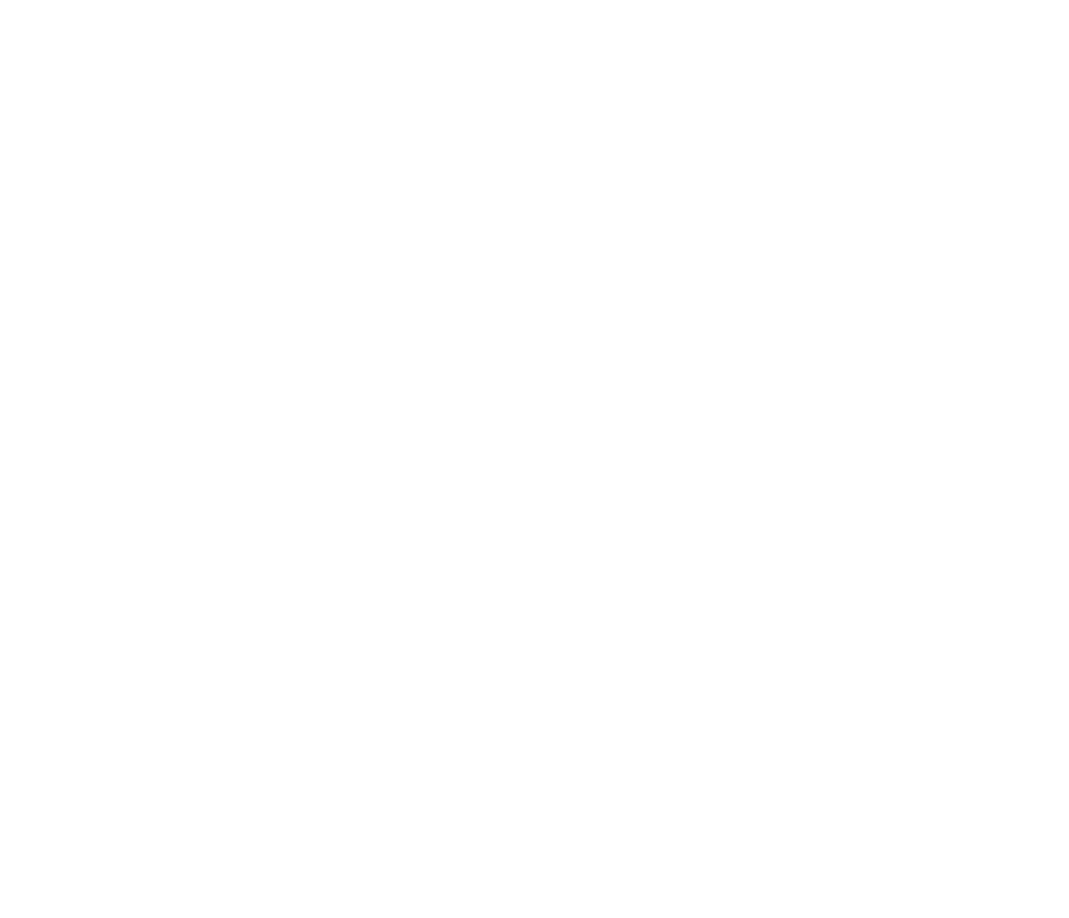 Nederman Holding logo on a dark background (transparent PNG)