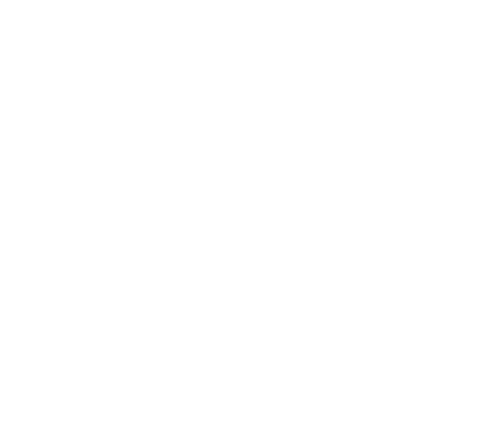NMI Holdings
 logo for dark backgrounds (transparent PNG)