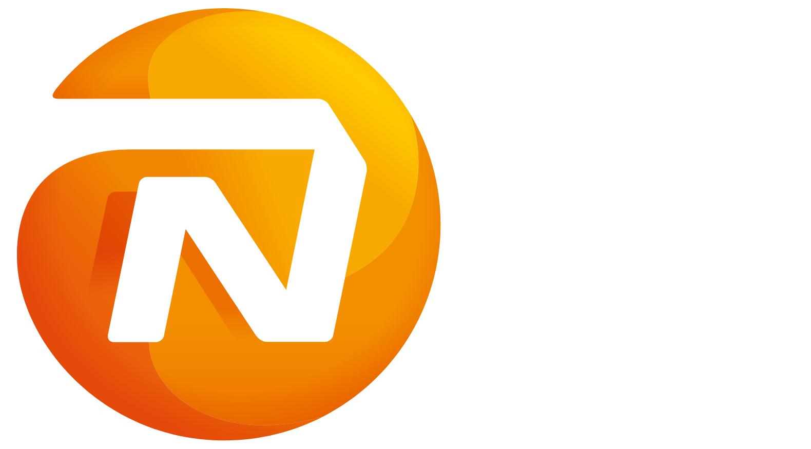 NN Group logo grand pour les fonds sombres (PNG transparent)