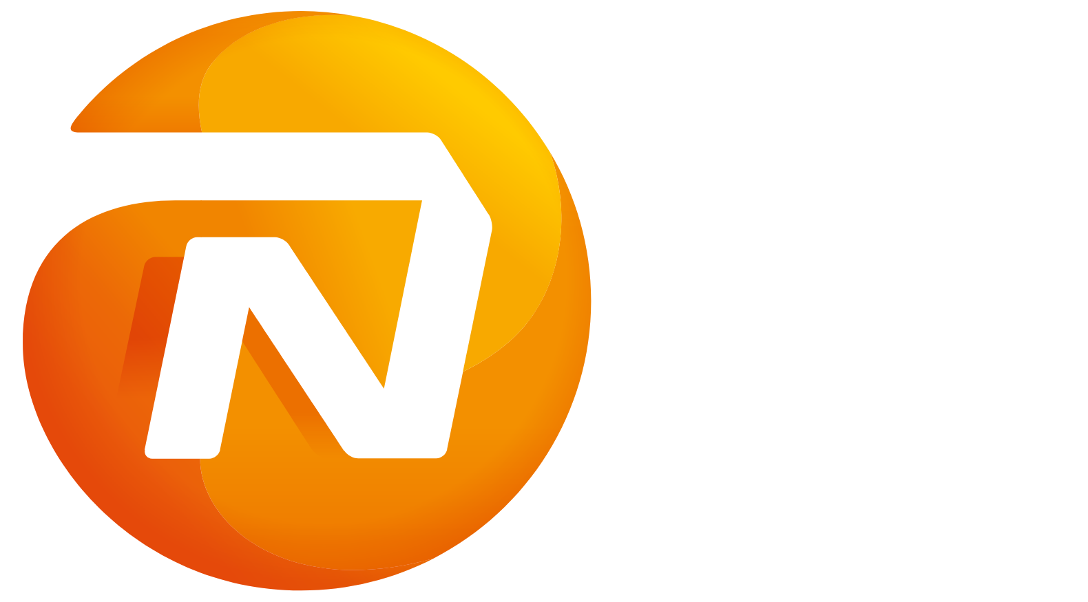 NN Group logo fulle size on a dark background (transparent PNG)