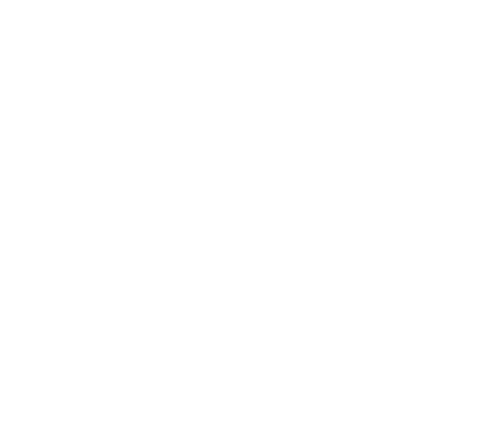 NextNav logo for dark backgrounds (transparent PNG)