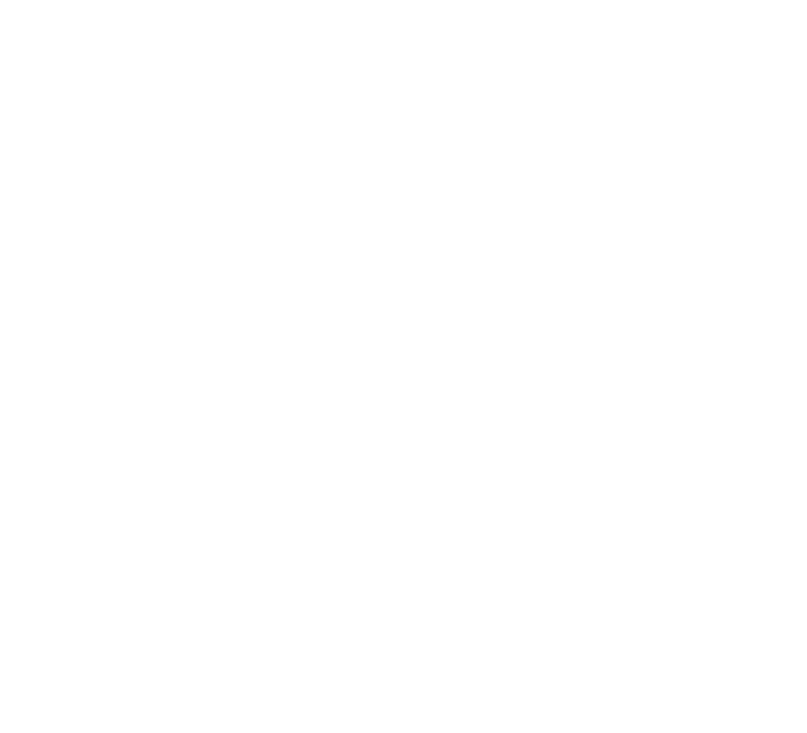 NextNav Logo für dunkle Hintergründe (transparentes PNG)