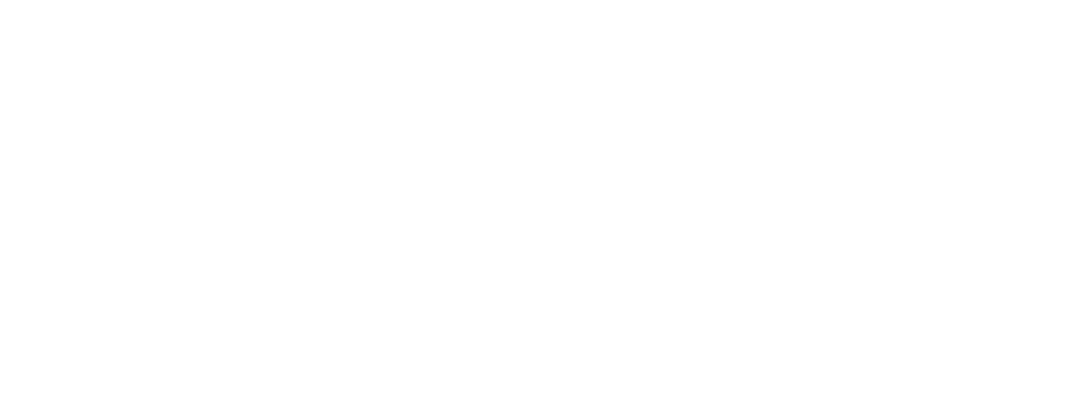Nano Dimension
 Logo für dunkle Hintergründe (transparentes PNG)