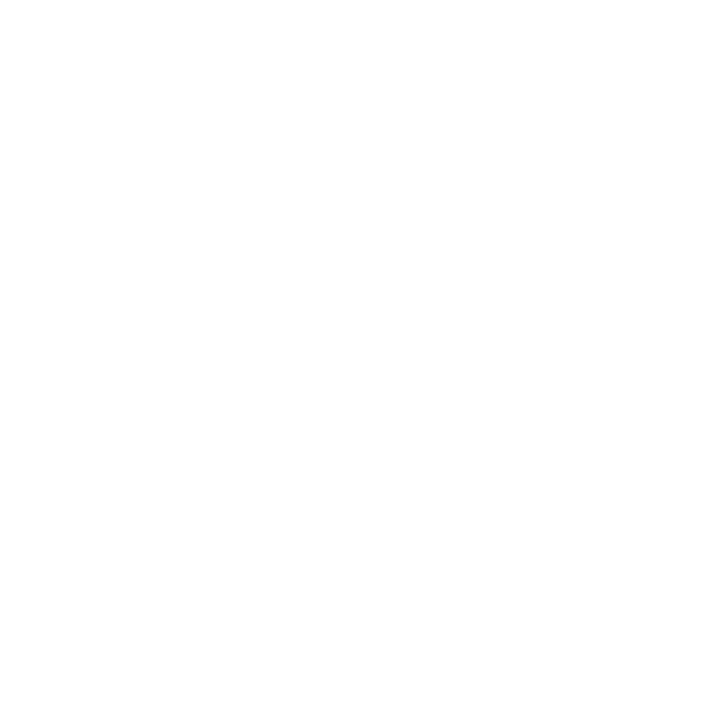 Nelnet logo pour fonds sombres (PNG transparent)