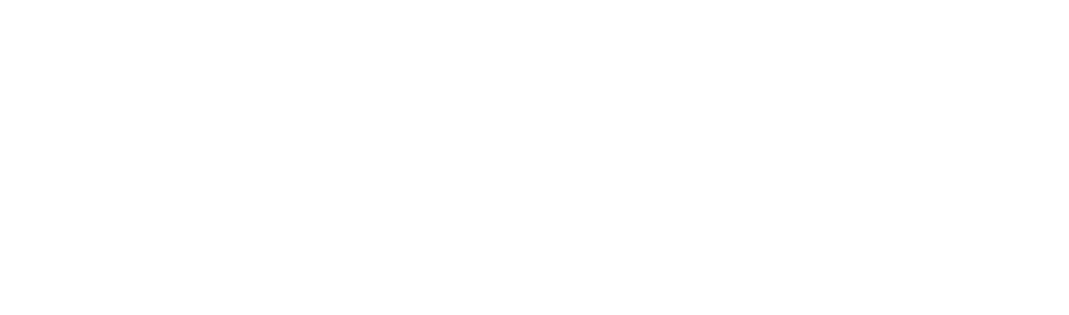 Nelnet logo grand pour les fonds sombres (PNG transparent)