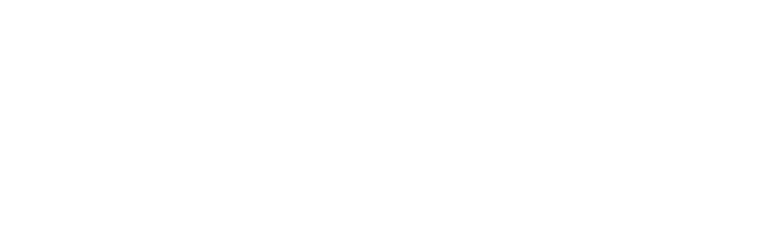 Nelnet logo in transparent PNG and vectorized SVG formats