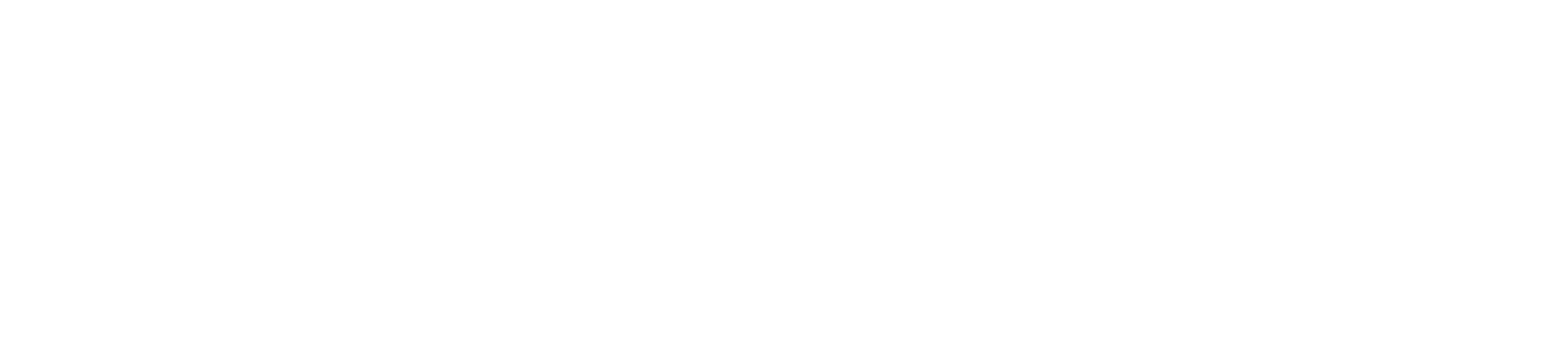 Northrop Grumman logo large for dark backgrounds (transparent PNG)
