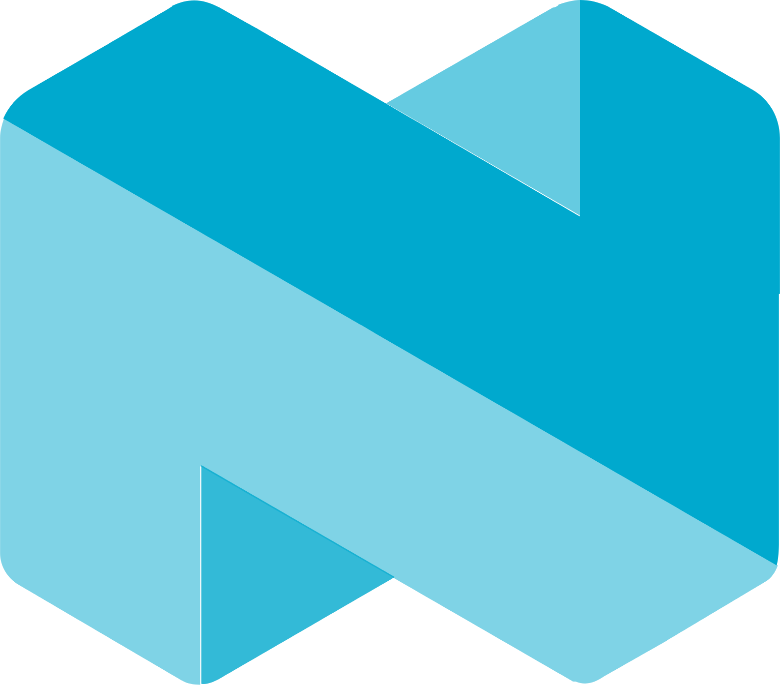 Nordic Semiconductor
 logo (transparent PNG)