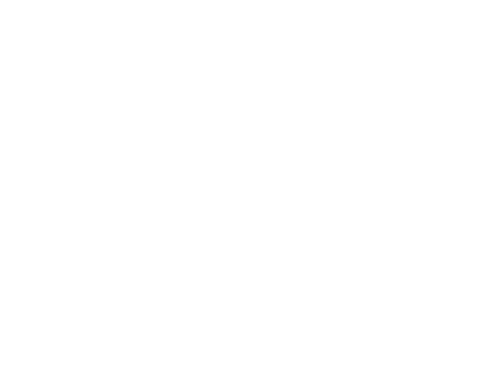 Nordic Mining ASA Logo für dunkle Hintergründe (transparentes PNG)