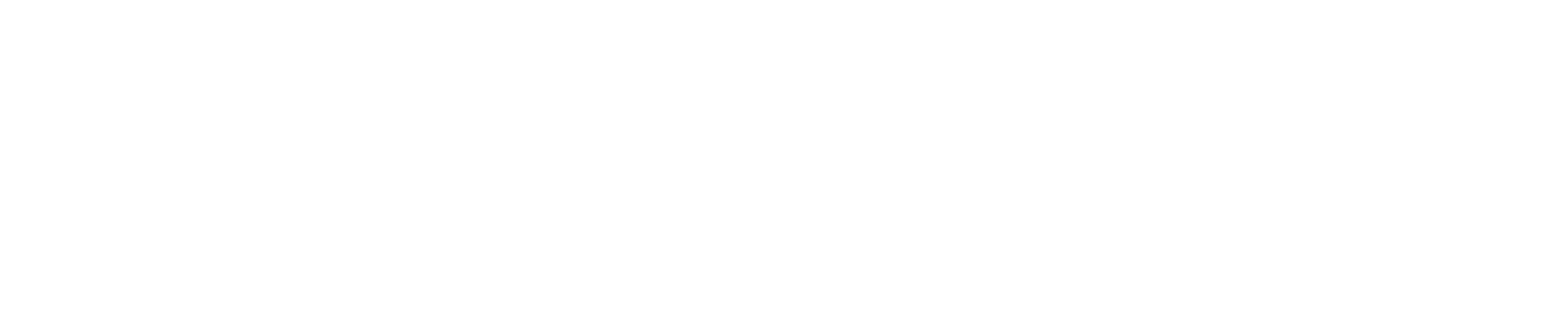 Norconsult logo grand pour les fonds sombres (PNG transparent)