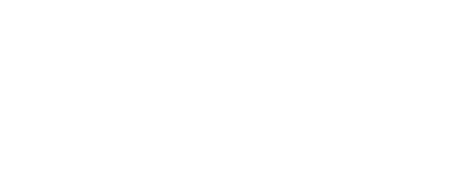NOV logo for dark backgrounds (transparent PNG)