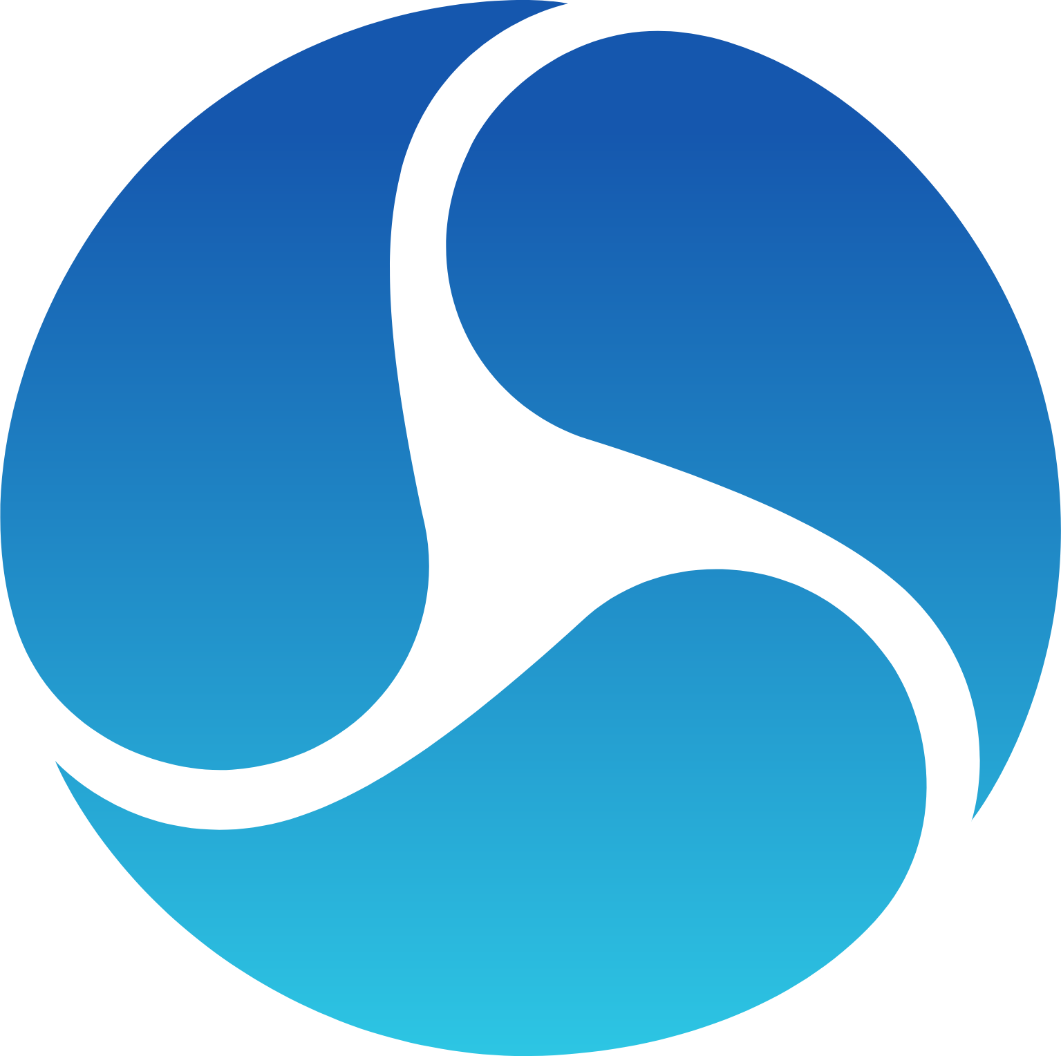 NeuroPace Logo (transparentes PNG)