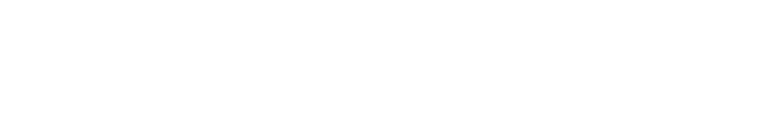NeuroPace Logo groß für dunkle Hintergründe (transparentes PNG)