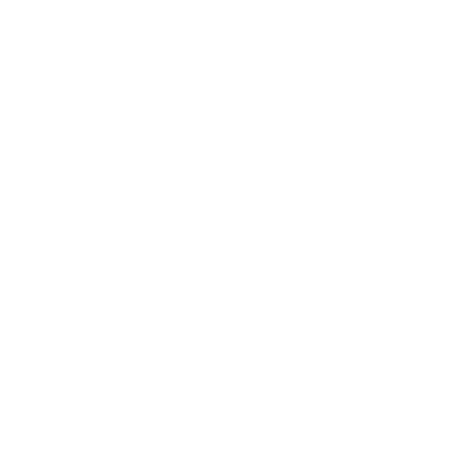 Naspers logo pour fonds sombres (PNG transparent)
