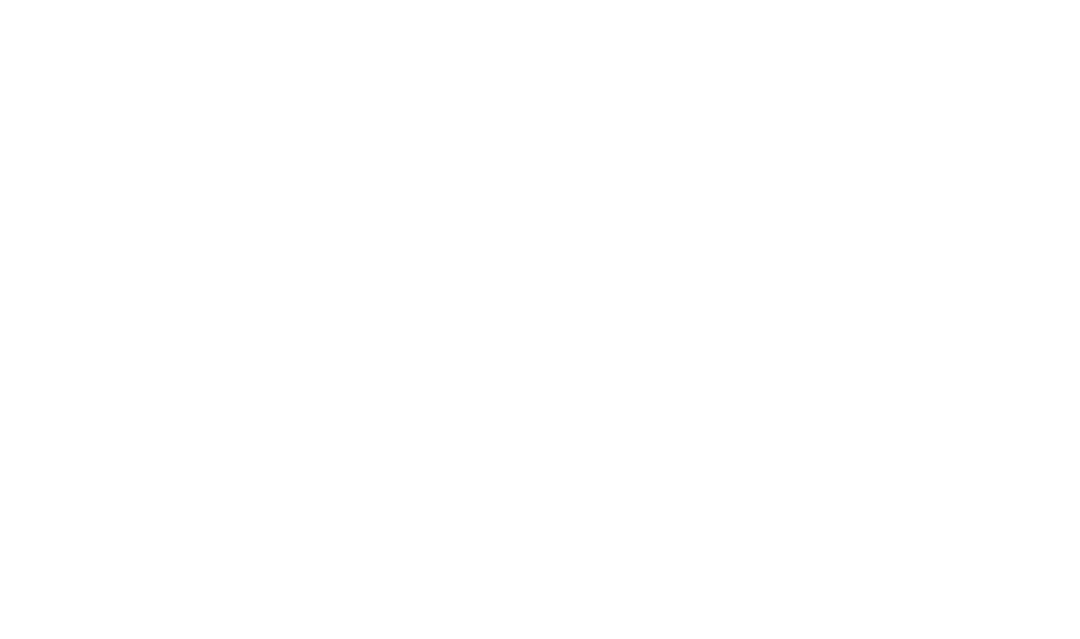 Naspers Logo groß für dunkle Hintergründe (transparentes PNG)