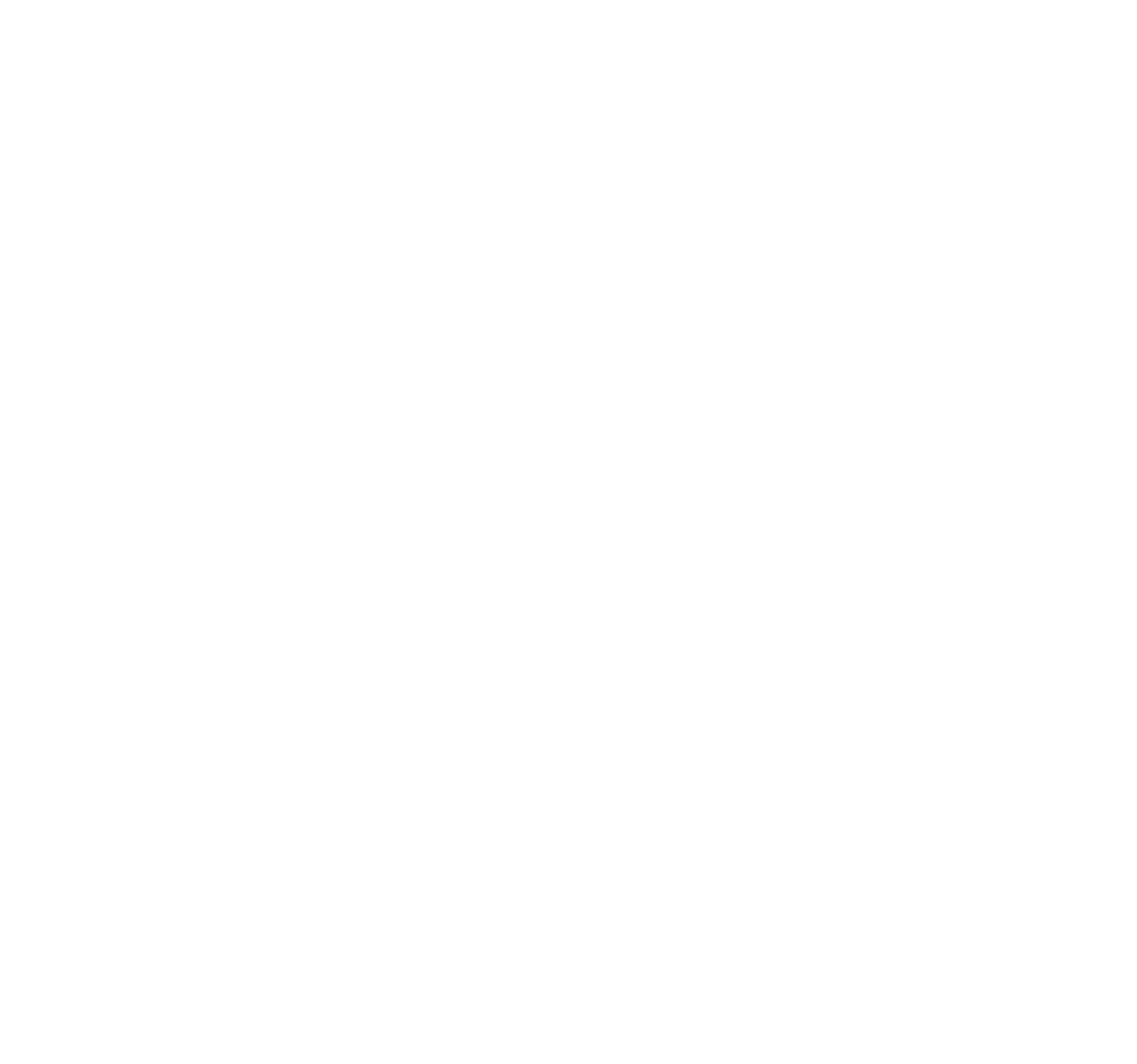 National Storage REIT Logo für dunkle Hintergründe (transparentes PNG)