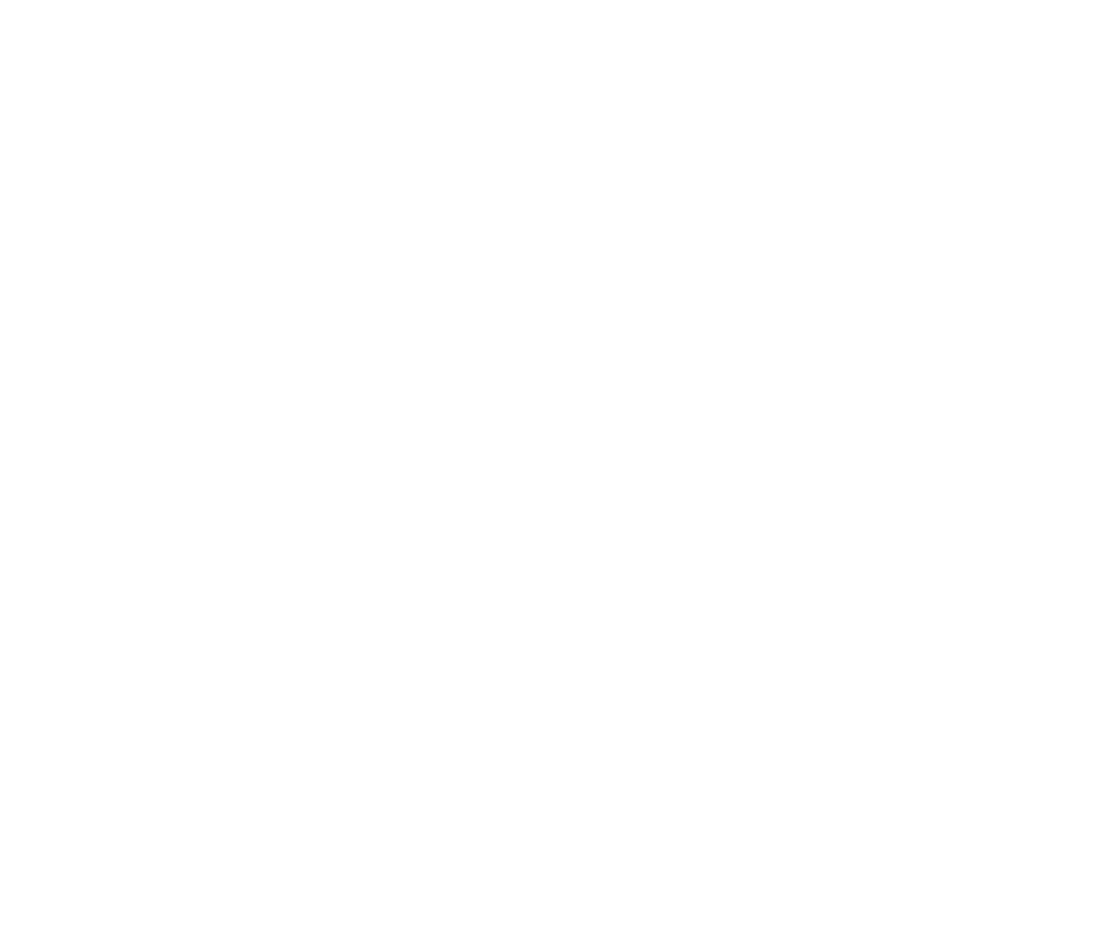 NetApp
 logo for dark backgrounds (transparent PNG)