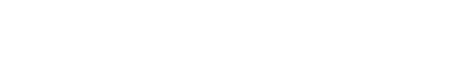 NetApp
 logo large for dark backgrounds (transparent PNG)