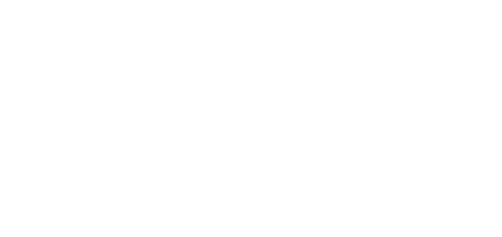 NetEase logo for dark backgrounds (transparent PNG)
