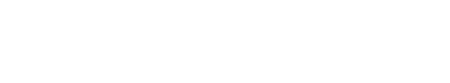 NetEase logo large for dark backgrounds (transparent PNG)
