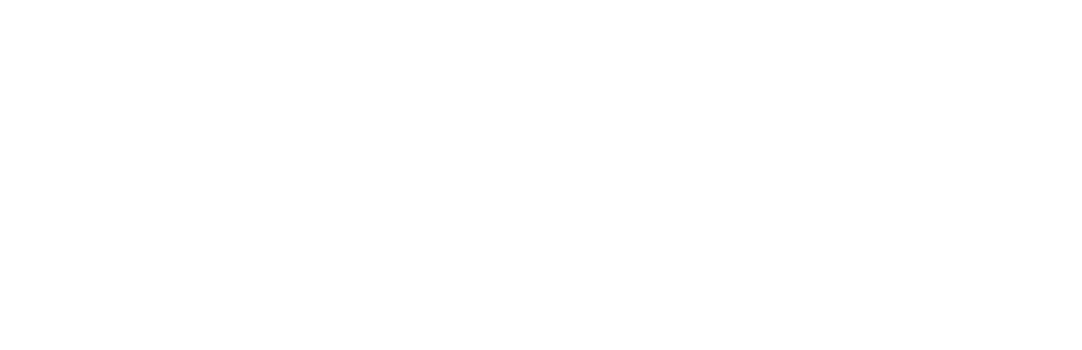 Nabaltec Logo groß für dunkle Hintergründe (transparentes PNG)