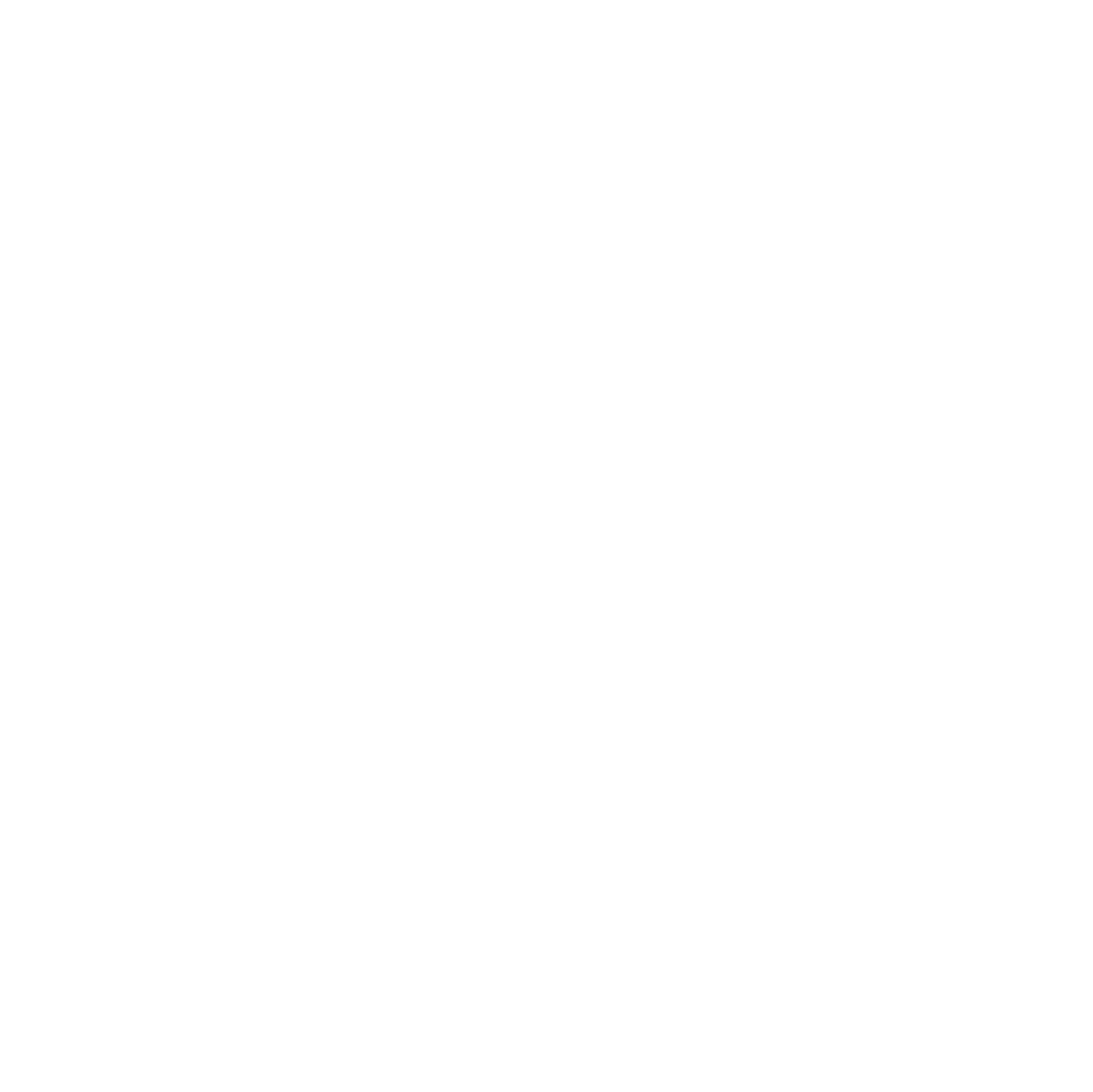 NETGEAR logo for dark backgrounds (transparent PNG)
