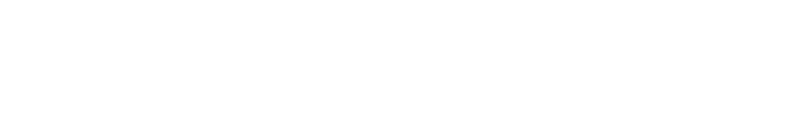 NETGEAR logo large for dark backgrounds (transparent PNG)